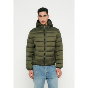 J[ K[tFh W[Y Y WPbgu] AE^[ LIGHT PADDED JACKET - Winter jacket - forest night