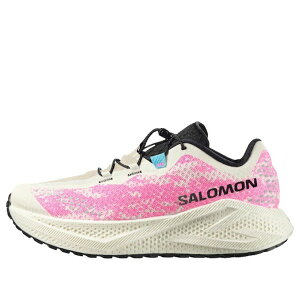 SALOMON �T������ �����Y �X�j�[�J�[ �ySALOMON Aero Glide 4 GRVL 'Vanilla Ice' 491748�z �T�C�Y US_12(30.0cm)