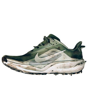 Nike �i�C�L �����Y �X�j�[�J�[ �yNike ACG Pegasus Trail 'Jade Horizon Light Silver' HV8116-310�z �T�C�Y US_7.5(25.5cm)