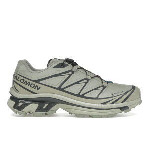 Salomon �T������ �����Y �X�j�[�J�[ �ySalomon XT-6 Gore-Tex Tea Peat�z �T�C�Y US_11(29.0cm) Tea/Tea/Peat