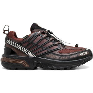 Salomon �T������ �����Y �X�j�[�J�[ �ySalomon ACS Pro Gore-Tex Clay Rum Raisin�z �T�C�Y US_8(26.0cm) Clay/Black/Rum Raisin
