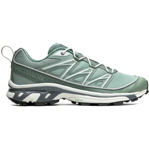 Salomon �T������ �����Y �X�j�[�J�[ �ySalomon XT-6 Expanse Lily Pad Pewter�z �T�C�Y US_10.5(28.5cm) Lily Pad/Laurel Wreath/Pewter