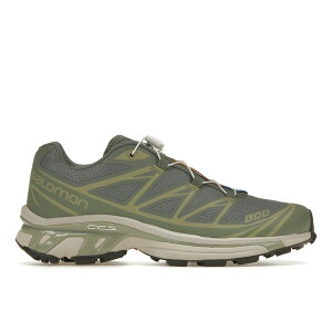 Salomon T Y Xj[J[ ySalomon XT-6 Desert Sagez TCY US_7(25.0cm) Laurel Wreath/Lily Pad/Desert Sage