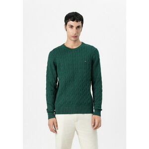 �g�~�[ �q���t�B�K�[ �����Y �j�b�g&�Z�[�^�[ �A�E�^�[ CLASSIC CABLE CREW NECK - Jumper - ornamental green