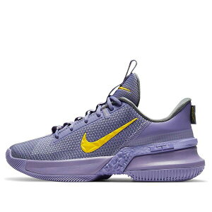 Nike iCL Y Xj[J[ yNike Ambassador 13 'Lakers' CQ9329-500z TCY US_10.5(28.5cm)