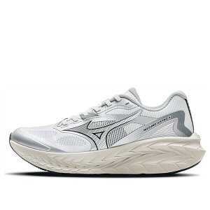 Mizuno �~�Y�m �����Y �X�j�[�J�[ �yMizuno Astro X 'While Silver' D1GH250506�z �T�C�Y US_11(29.0cm)