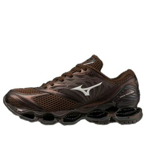 Mizuno �~�Y�m �����Y �X�j�[�J�[ �yMizuno Wave Prophecy LS 'Chicory Coffee' D1GA251105�z �T�C�Y US_12.5(30.5cm)