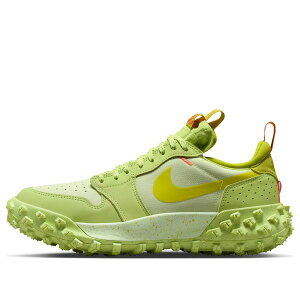 Jordan �W���[�_�� �����Y �X�j�[�J�[ �yAir Jordan 1 Element Low 'Light Lemon Twist' FV4227-700�z �T�C�Y US_7(25.0cm)