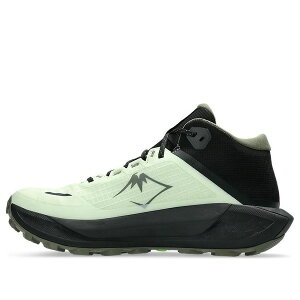 ASICS �A�V�b�N�X �����Y �X�j�[�J�[ �yAsics Gel-Trabuco MT GTX 'Whisper Green Mantle Green' 1011C085-300�z �T�C�Y US_M_14