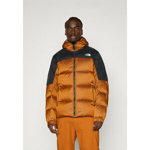 m[XtFCX Y WPbgu] AE^[ DIABLO HOODIE - Down jacket - mushroom ember/black heather/black