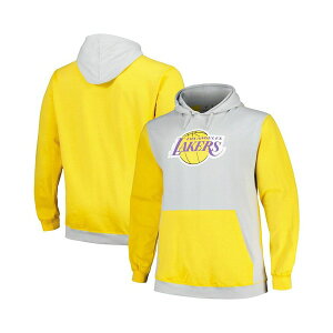 t@ieBNX Y p[J[EXEFbgVc AE^[ Men's Gold, Silver Los Angeles Lakers Big and Tall Primary Arctic Pullover Hoodie Silver, Gold