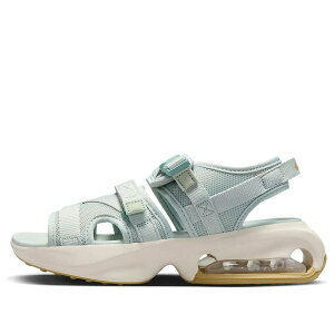 Nike �i�C�L ���f�B�[�X �X�j�[�J�[ �y(WMNS) Nike Air Max Sol Sandal 'Mineral' FD5982-001�z �T�C�Y US_8(25.0cm)