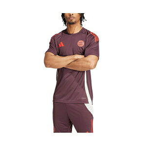 AfB_X Y Vc gbvX Men's Maroon Bayern Munich 2024/25 AEROREADY Training Jersey Maroon