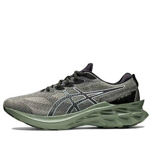 ASICS �A�V�b�N�X �����Y �X�j�[�J�[ �yASICS Novablast 2 LE 'Lichen Green' 1011B331-300�z �T�C�Y US_10(28.0cm)