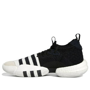 adidas �A�f�B�_�X �����Y �X�j�[�J�[ �g���C�E�����O �yadidas Trae Young 2.0 Basketball Shoes 'Cloud White / Core Black' H06477�z �T�C�Y US_12(30.0cm)