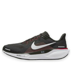 Nike �i�C�L �����Y �X�j�[�J�[ �yNike Air Zoom Pegasus 41 NFL 'Tampa Bay Buccaneers' IB3198-200�z �T�C�Y US_11.5(29.5cm)