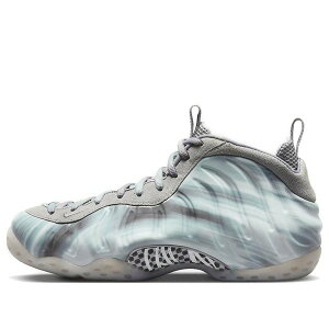 Nike �i�C�L �����Y �X�j�[�J�[ �yNike Air Foamposite One 'Dream A World Grey' DM0115-001�z �T�C�Y US_8(26.0cm)
