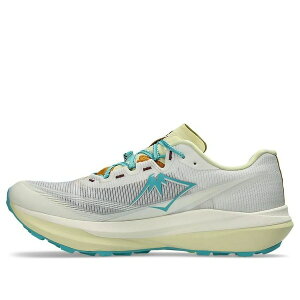 ASICS �A�V�b�N�X �����Y �X�j�[�J�[ �yASICS Fuji Speed 4 'Cream Sandstorm' 1013A179-100�z �T�C�Y US_8.5(26.5cm)