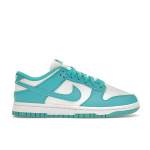 Nike iCL fB[X Xj[J[ yNike Dunk Low Next Nature Dusty Cactus (Women's)z TCY US_W_10.5 White/Dusty Cactus