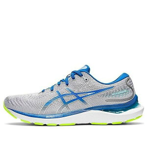 ASICS AVbNX Y Xj[J[ yASICS Gel-Cumulus 24 'Sheet Rock Lake Drive' 1011B366-021z TCY US_10(28.0cm)