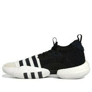adidas �A�f�B�_�X �����Y �X�j�[�J�[ �yadidas Trae Young 2.0 Basketball Shoes 'Cloud White / Core Black' H06477�z �T�C�Y US_8(26.0cm)