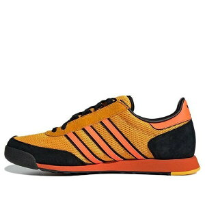 adidas �A�f�B�_�X �����Y �X�j�[�J�[ �yadidas SL80 A Spezial 'Collegiate Gold' F35877�z �T�C�Y US_12(30.0cm)