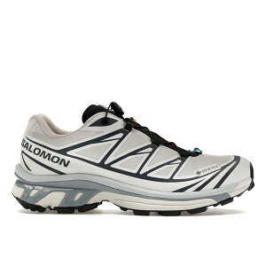 Salomon �T������ �����Y �X�j�[�J�[ �ySalomon XT-6 Gore-Tex Silver Cloud Black�z �T�C�Y US_6(24.0cm) Silver Cloud/Black