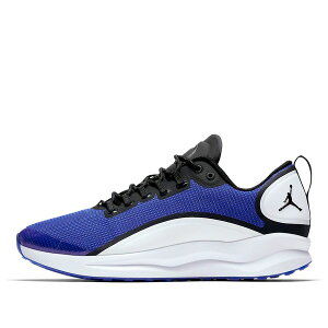 Jordan �W���[�_�� �����Y �X�j�[�J�[ �yAir Jordan Zoom Tenacity 'Hyper Royal' AH8111-401�z �T�C�Y US_8(26.0cm)