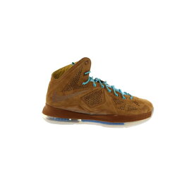 Nike ナイキ メンズ スニーカー 【Nike LeBron X EXT】 サイズ US_13(31.0cm) Hazelnut