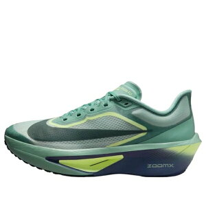 Nike �i�C�L �����Y �X�j�[�J�[ �yNike Zoom Fly 6 'Cannon Light Silver' FN8454-003�z �T�C�Y US_10.5(28.5cm)