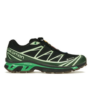 Salomon �T������ �����Y �X�j�[�J�[ �ySalomon Advanced XT-6 Gore-Tex Eden Green Ash�z �T�C�Y US_8(26.0cm) Black/Eden/Green Ash