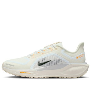 Nike �i�C�L ���f�B�[�X �X�j�[�J�[ �y(WMNS) Nike Air Zoom Pegasus 41 GTX 'Beige' FQ1357-102�z �T�C�Y US_9(26.0cm)