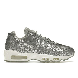 Nike �i�C�L �����Y �X�j�[�J�[ �yNike Air Max 95 20th Anniversary Pure Platinum�z �T�C�Y US_11(29.0cm) Pure Platinum/Metallic Silver-White