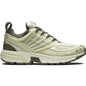Salomon �T������ �����Y �X�j�[�J�[ �ySalomon ACS Pro Gore-Tex Vanilla Ice Green Haze�z �T�C�Y US_12.5(30.5cm) Vanilla Ice/Green Haze/Stone Grey