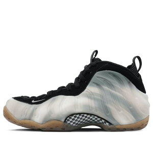 Nike �i�C�L �����Y �X�j�[�J�[ �yNike Air Foamposite One 'Dream A World Sepia Stone' FB2195-200�z �T�C�Y US_9.5(27.5cm)