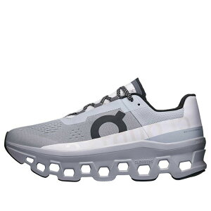 On Running �I�� �����j���O �����Y �X�j�[�J�[ �yOn Running Cloudmonster 'Alloy Silver' 61.97657�z �T�C�Y US_10.5(28.5cm)