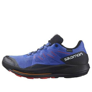 SALOMON サロモン メンズ スニーカー 【SALOMON Pulsar Trail Gore-Tex 'Blue Black' 416080】 サイズ US_10.5(28.5cm)