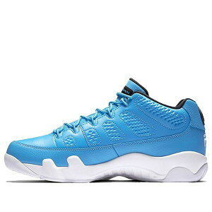 Air Jordan W[_ Y Xj[J[ yAir Jordan 9 Retro Low 'Pantone' 832822-401z TCY US_11.5(29.5cm)