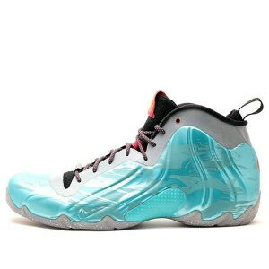 Nike iCL Y Xj[J[ yNike Air Flightposite Exposed YOH Qs 'Year Of The Horse' 647593-300z TCY US_10.5(28.5cm)