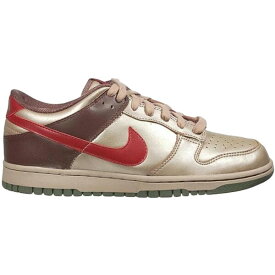 Nike ナイキ レディース スニーカー 【Nike Dunk Low】 サイズ US_W_7W Metallic Zinc (Women's)