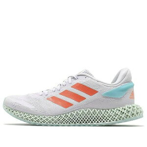 adidas AfB_X Y Xj[J[ yadidas 4D Run 1.0 LTD 'Dash Grey' FW1230z TCY US_7.5(25.5cm)