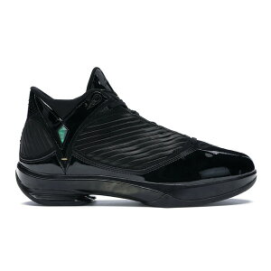 Jordan �W���[�_�� �����Y �X�j�[�J�[ �yJordan 2009 S23�z �T�C�Y US_10.5(28.5cm) Black/Metallic Gold