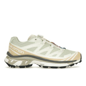 Salomon �T������ �����Y �X�j�[�J�[ �ySalomon XT-6 Aloe Wash Feather Grey�z �T�C�Y US_12.5(30.5cm) Aloe Wash/Hazelnut/Feather Grey