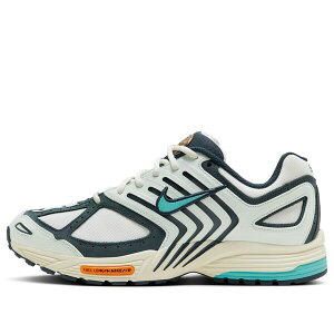 Nike �i�C�L �����Y �X�j�[�J�[ �yNike Air Zoom Pegasus 2005 'Be The One' HM3727-131�z �T�C�Y US_M_3.5