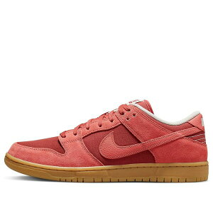 Nike iCL Y Xj[J[ yNike SB Dunk Low 'Adobe' DV5429-600z TCY US_7(25.0cm)