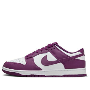 Nike iCL Y Xj[J[ yNike Dunk Low 'Viotech White' DV0833-107z TCY US_11.5(29.5cm)