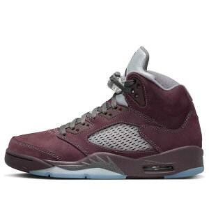 Air Jordan �W���[�_�� �����Y �X�j�[�J�[ �yAir Jordan 5 Retro 'Burgundy' DZ4131-600�z �T�C�Y US_M_4