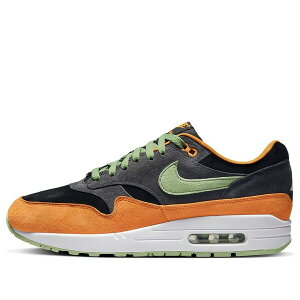 Nike iCL Y Xj[J[ yNike Air Max 1 Premium 'Ugly Duckling - Honeydew' DZ0482-001z TCY US_M_15