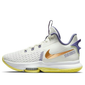 Nike iCL Y Xj[J[ yNike LeBron Witness 5 EP 'Summit White Metallic Bronze' CQ9381-102z TCY US_10(28.0cm)