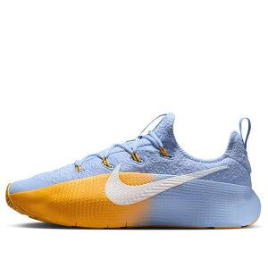 Nike �i�C�L �����Y �X�j�[�J�[ �yNike LeBron TR 1 'Aluminium University Gold' FJ6151-401�z �T�C�Y US_12(30.0cm)